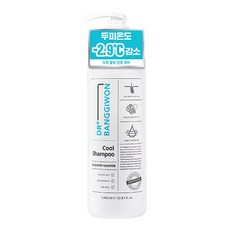 닥터방기원 쿨 탈모 샴푸, 1L, 1개