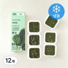 베리네이처 야채큐브 다진 비타민채 2단계 (냉동), 60g, 12개
