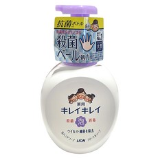 LION 獅王 趣淨 泡沫洗手慕斯, 500ml, 1件, 花香