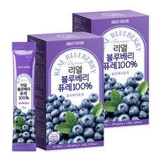 어바웃네이처 리얼 블루베리 퓨레 100% 14p, 280g, 2개