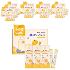 니몸내몸 배를 사랑한 장생도라지 스틱 건강즙, 10g, 300개입