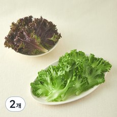 그린래빗 무농약 인증 유러피안 프릴아이스 샐러드, 100g, 2개