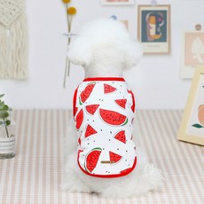 딩동펫 반려동물 후르츠 나시, 수박, 1개