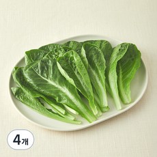 그린래빗 무농약 인증 유러피안 미니로메인 샐러드, 100g, 4개