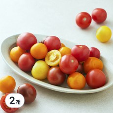 광식이농장 칵테일 토마토, 1.4kg, 2개