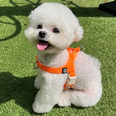 Mungtem 狗狗防前進調色盤胸背帶, 霓虹橙