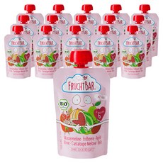 프루트바 생과일 퓨레, 수박 + 딸기 + 사과 + 배 + 쌀 혼합맛, 100g, 16개
