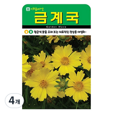 아람종묘 금계국 꽃 씨앗 500p, 4개