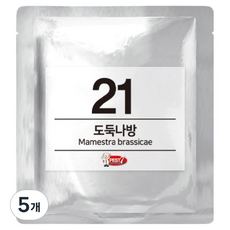 페스트세븐 페로몬 유인제 21 도둑나방, 5개