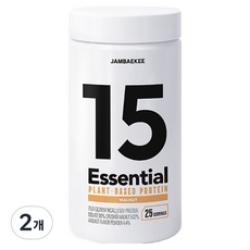 잠백이 에센셜 식물성 단백질 파우더 호두맛, 750g, 2개