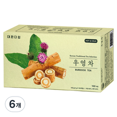 대한다업 우엉차, 1g, 6개, 100개입