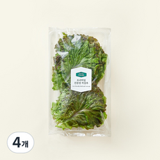 프리미엄 친환경 적상추, 120g, 4개