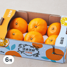 감귤상회 천혜향 중과, 1.5kg(5~7입), 6개
