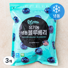 유기가공식품 인증 블루베리 (냉동), 1kg, 3개