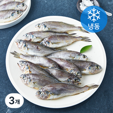 국내산 대용량 굴비 20미 (냉동), 3개, 1kg