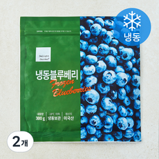 딜라잇가든 미국산 블루베리 (냉동), 2개, 300g