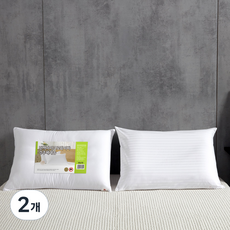 케이아이티 편백 마이크로화이바 베개 솜 + 순면 60수 로얄샤틴 쟈가드 베개 커버, 화이트, 2개