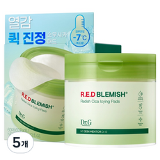 Dr.G Red Blemish純淨牛蒡積雪草涼感棉片 190ml, 5個