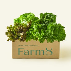 팜에이트 무농약 인증 유러피안 샐러드 꾸러미, 450g, 1개입, 1개