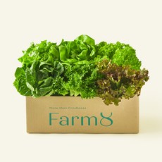 팜에이트 무농약 유러피안 샐러드 꾸러미, 800g, 1개입, 1개