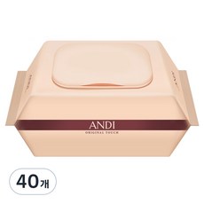 안디 저자극 도톰한 오리지널 터치 아기물티슈 캡형, 40개, 100매, 55g