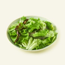 팜에이트 무농약 인증 유러피안 샐러드, 130g, 1개입, 1개
