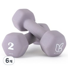 아리프 네오프렌 선인장 아령, 2kg, 6개