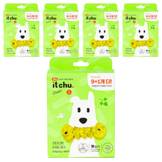 잇츄 강아지 덴탈껌 그린 S, 연어, 120g, 5개