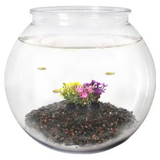 Rora Pet 塑膠福袋魚缸 + 3種人造水草 + 底材套組, 單一顏色