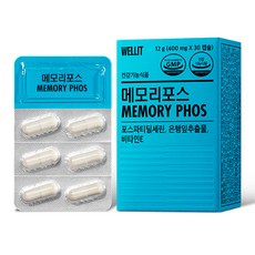 웰릿 정품 메모리포스, 30정, 1개