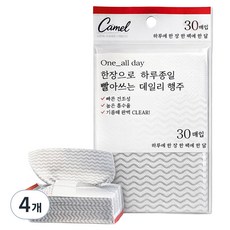 CAMEL One All Day 一天一張可水洗抹布 紙巾型, 4個, 30入