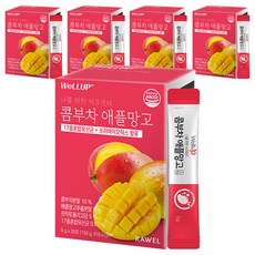 웰업 콤부차 애플망고 분말스틱, 5g, 30개입, 5개