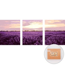 아트조이 DIY 명화 그리기 3단세트 40 x 50 cm, 들판, 1개