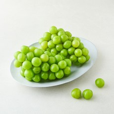 곰곰 저탄소 샤인머스켓, 1박스, 1.5kg(2~3입)
