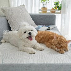 크리벨 반려동물 아추어 듀라론 냉감 쿨매트, 화이트, 2개