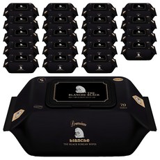 블랑슈 프리미엄 더블랙 유아물티슈 캡형, 75g, 70매, 20개