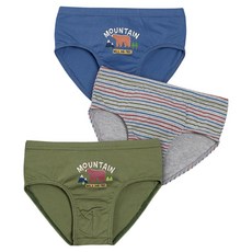 Criket TRY 男童三角內褲3件組 CBPDG52