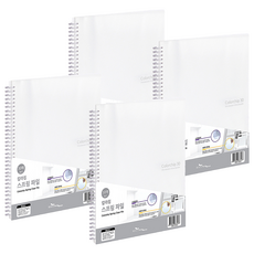 에코청운 칼라칩 스프링 화일 30매 A4, 투명, 4개