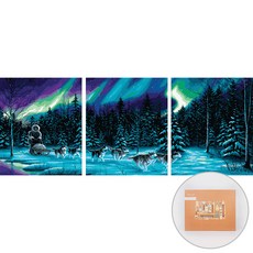 아트조이 DIY 명화 그리기 3단세트 40 x 50 cm, 오로라 풍경, 1개
