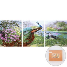 아트조이 DIY 명화 그리기 3단세트 40 x 50 cm, 화사한 공작의 꽃동산, 1개