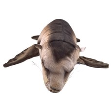 HANSA TOY 8033 海豹手偶 35cm, 1個, 1個