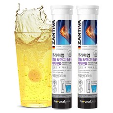 내츄럴플러스 잔티바 프리미엄 칼슘 마그네슘 비타민D 81g, 15정, 2개