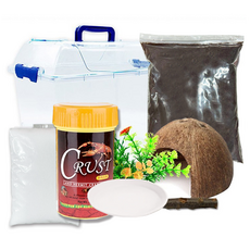 RORAPETcocofit 地板材料烤牛肉飼料寄居蟹套裝, 混合顏色