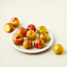 스타영천 자두(중), 1개, 1.2kg(중)