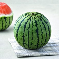 제이드가든 애플 수박, 1kg 미만, 1개