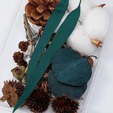 A-ONE乾燥花 B15 綜合乾果盒H (17 x 11.5 x 3.3 CM)乾燥花包 (14.8 x 21 CM), 綜合乾果盒H 綠色 + 棕色