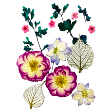 A-ONE 中花包 天然植物壓花 產品尺寸 14.5 x 10.5 CM, 紫花異草