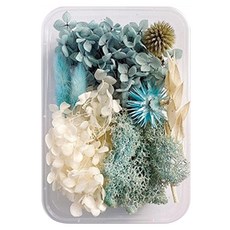 A-ONE 匯旺 乾燥花 B07 Set 柔藍一水