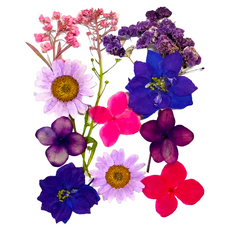 A-ONE 匯旺 真花壓花 2個 手工藝品材料包 (14.5 x 10.5 CM), 小花包 春光明媚 AA01