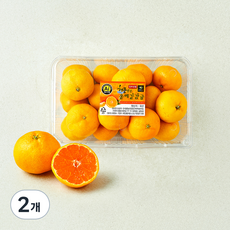 올레길 AI 당도선별 11brix 감귤, 1.5kg(로열과), 2개